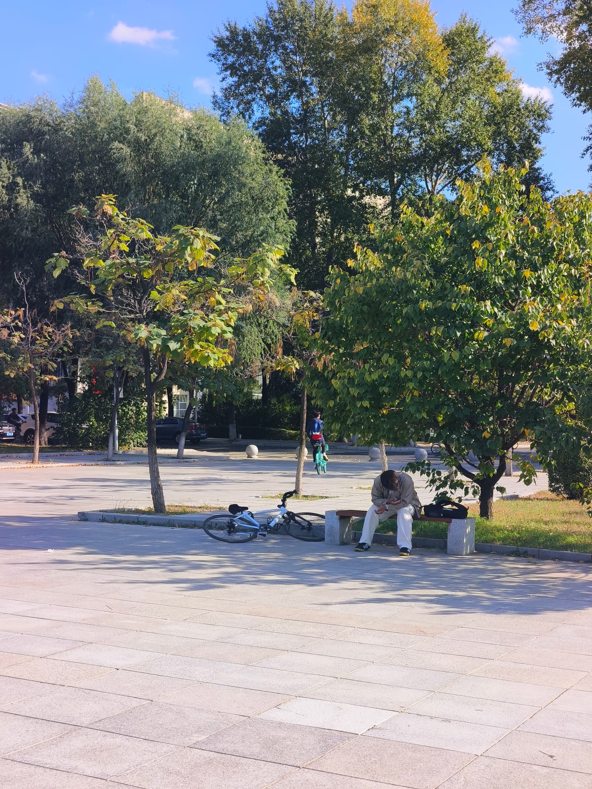 Pasted image 20260921221430